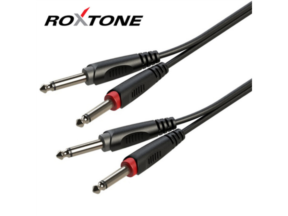 Roxtone - SACC100L6