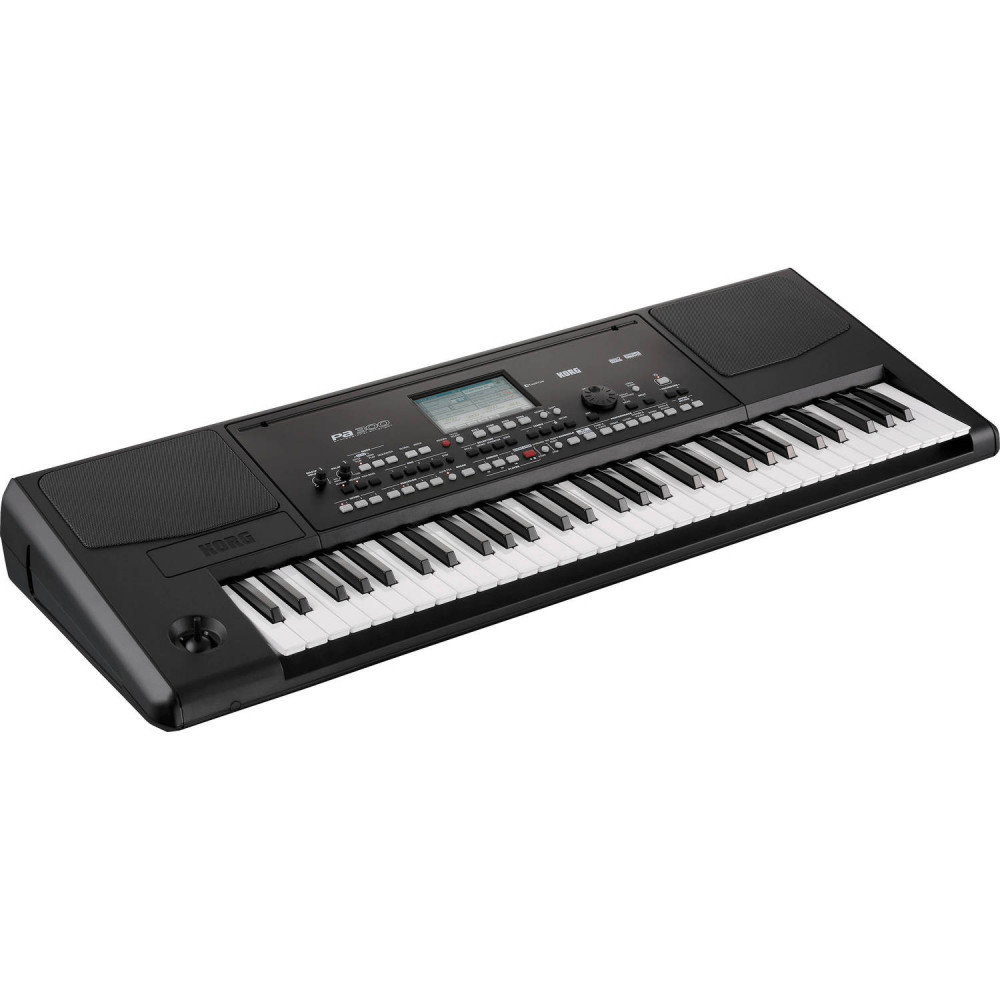Korg - Pa300