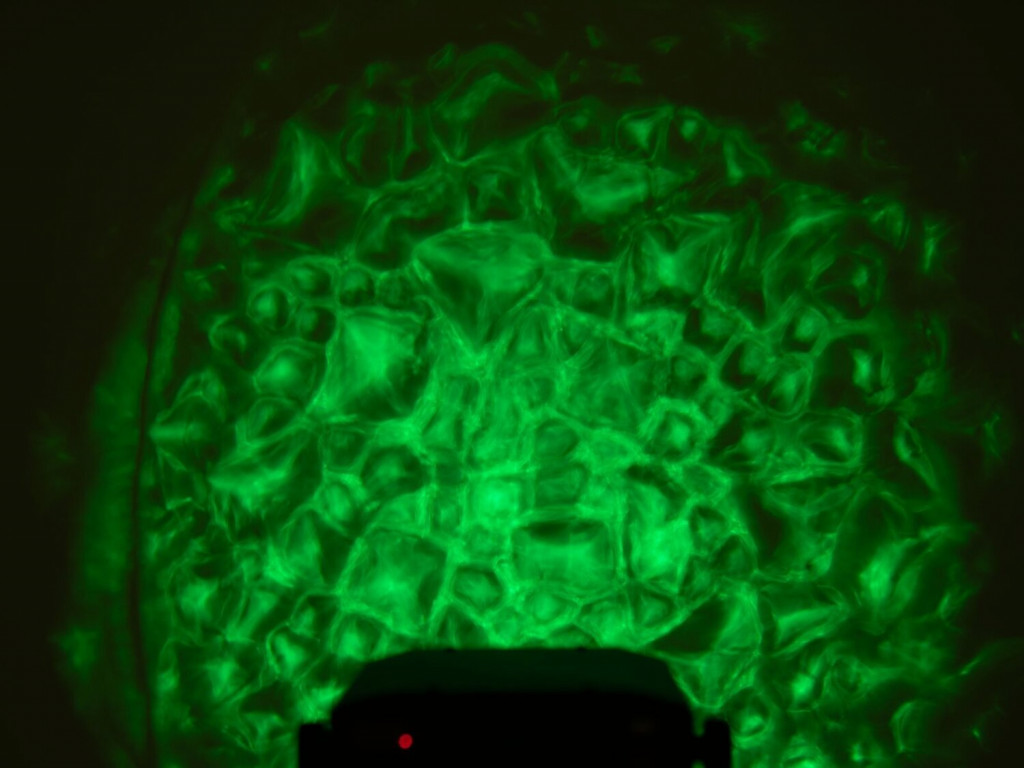Eurolite - LED WF-30 – 5. kép