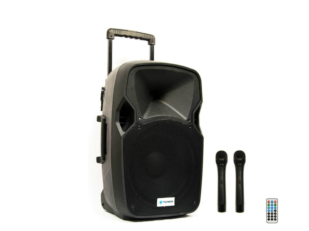 Thunder Audio - ACCU-12